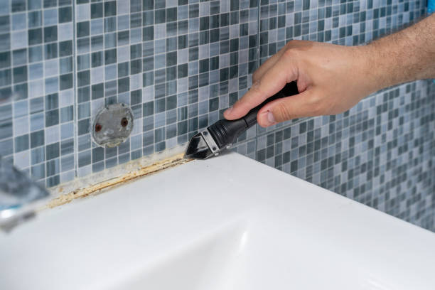Best Professional Mold Removal  in Port Isabel, TX